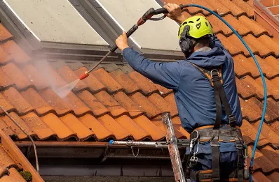 Démoussage et hydrofuge de toiture à Louin